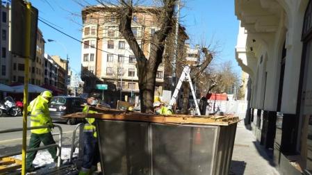 Retirado el quiosco de venta de prensa y revistas de la avenida de San Ignacio