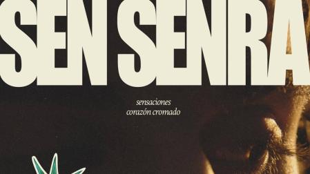 Cancelado el concierto de Sen Senra en Baluarte