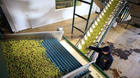 La producci&oacute;n de aceite baja en la Ribera tras cuatro a&ntilde;os de subidas