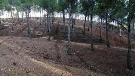 Piden más control para motos de campo a través