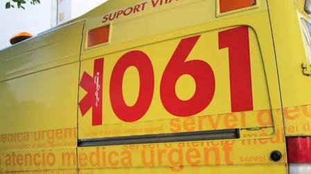 Fallece una mujer tras caerle una palmera por el fuerte viento en Palma