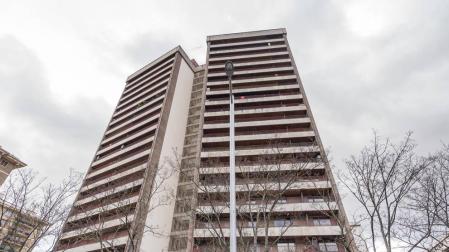 Torre Basoko