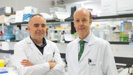Logran revertir la pérdida ósea asociada al mieloma múltiple