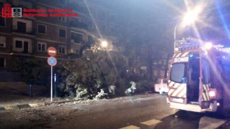 El fuerte viento obliga a la Policía Municipal y Bomberos a realizar distintas intervenciones
