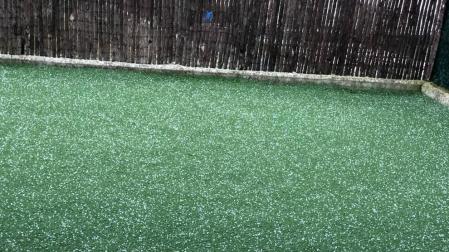 Granizo en un jardín de la comarca de Pamplona.