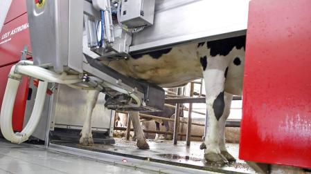 Los ganaderos navarros recibieron el precio más alto por la leche