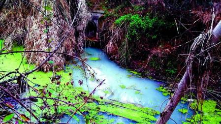 Gurelur denuncia el vertido de aguas residuales al río Alhama