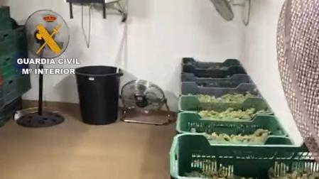 Detenidos 64 miembros de una red que distribuía marihuana de Granada a Europa