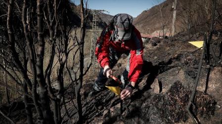 Abiertas todas las líneas de investigación en el origen del incendio de Bera