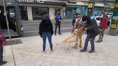 El grupo canino realiza 5 incautaciones de droga en la estación de autobuses