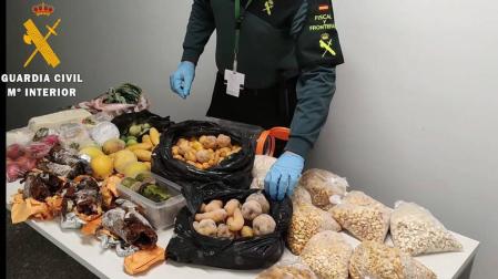 Intervenidos 53 kilos de alimentos prohibidos en el Aeropuerto de Noáin