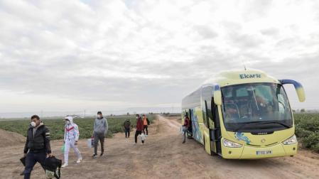 Los temporeros se apean del autobús guardando la distancia de seguridad. Han viajado con mascarilla y se disponen a recoger alcachofa de Tudela.