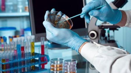 Pamplona será escaparate mundial del talento biotecnológico español