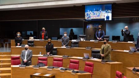 El Parlamento foral rechaza dar microdatos de las encuestas