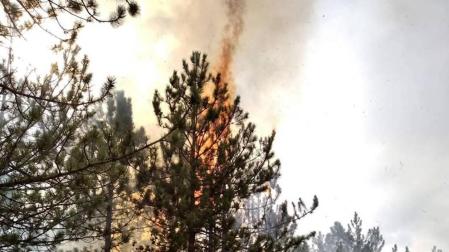 Importante incendio en un pinar de Javerri moviliza a varios efectivos de bomberos y medios aéreos
