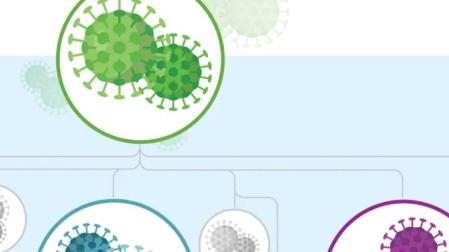Guía para entender los mutantes y las variantes del SARS-CoV-2
