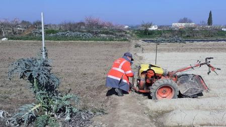 Un herido grave al quedar atrapado por su mula mecánica en Caparroso