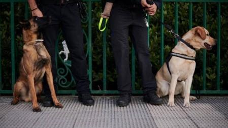 La Policía Municipal de Pamplona realiza ocho actas de aprehensión de drogas