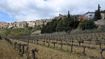 La viticultura tiene relevo en San Martín
