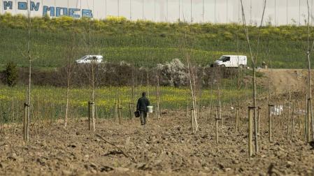 Comienza la reforestación de las huertas ilegales de Echavacoiz