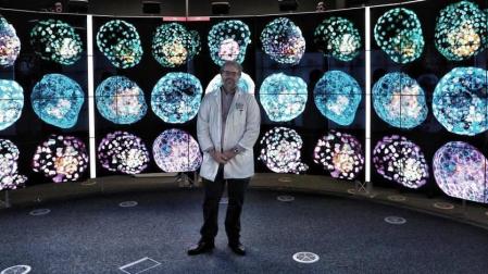 Crean 'pseudoembriones' humanos a partir de células de la piel