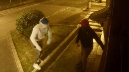 Investigados dos jóvenes por el robo en una tienda de alimentación de Lesaka