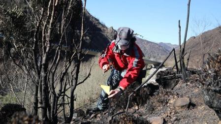 Se cumplen treinta años del incendio que dio luz a la Policía Ecológica en Navarra