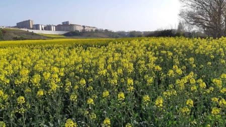 Fotos de la primavera enviadas por los lectores de diariodenavarra.es