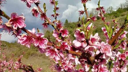Fotos de la primavera enviadas por los lectores de diariodenavarra.es