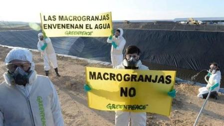 Greenpeace devuelve mil litros de agua contaminada a la macroganja de Caparroso