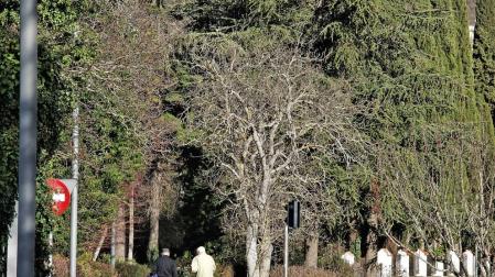 ¿Introduciría animales en el parque Aranzadi de Pamplona?