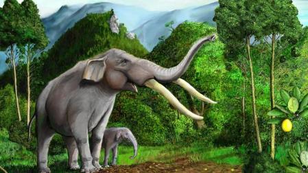 La extinción de la megafauna chilena dejó a este árbol sin ayuda para dispersar sus semillas