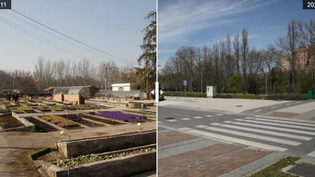 Cuando cambió... la zona de los viveros municipales