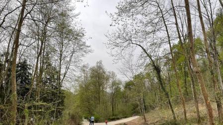 Los senderos de Bertiz han abierto esta Semana Santa tras la tormenta que derribó multitud de árboles.