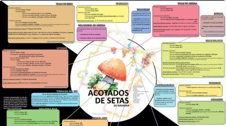 Navarra actualiza la información de la Red de Acotados de Setas