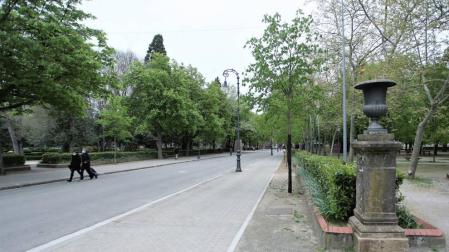 El Ayuntamiento prevé nivelar la calzada que separa el Bosquecillo y la Taconera