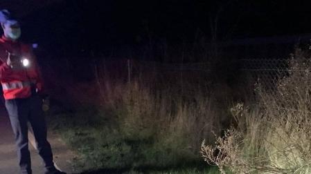 Policía Foral atiende tres accidentes con animales en menos de media hora