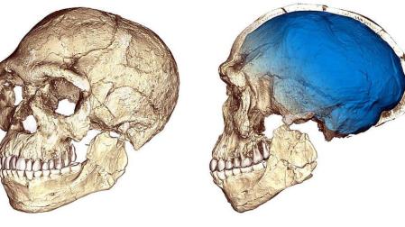 Descubren en Marruecos los fósiles de 'Homo sapiens' más antiguos que se conocen