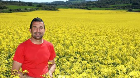 La colza, de colorear los campos de amarillo a biodiésel en Francia