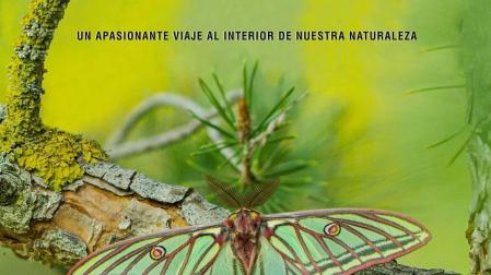 El documental 'Natura Bizia' explora la amplia biodiversidad de Navarra