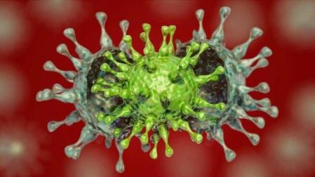 Por qué es muy difícil reinfectarse por SARS-CoV-2