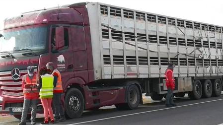 Policía Foral realiza controles de bienestar animal en el transporte