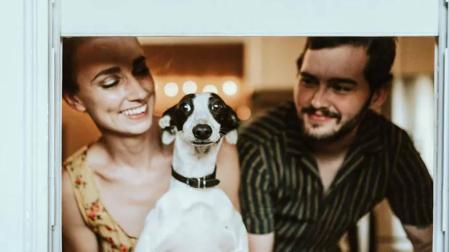 Pero, ¿qué pueden decirle sus perros?