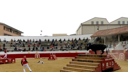 La zona media de Navarra acogió este domingo la primera exhibición de bravura de la mano de la ganadería Arriazu