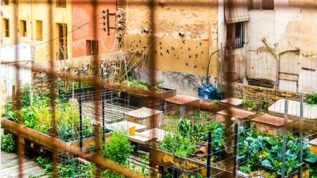 Huertos urbanos para mejorar la calidad de vida en las ciudades