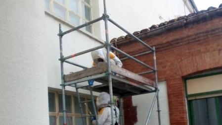 Los bomberos retiran una colonia de abejas del CHN