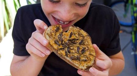 Cuatro razones por las que los insectos podrían ser un elemento básico en la dieta