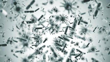 De los virus 'sin corona' a los coronavirus