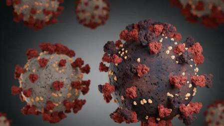 Detalle de un coronavirus.