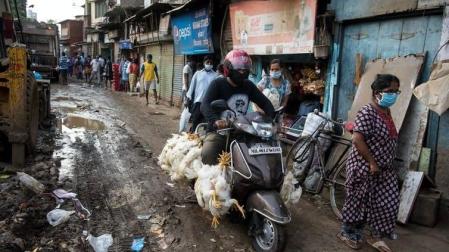 Por qué dar solo respuestas sanitarias a la covid-19 no basta